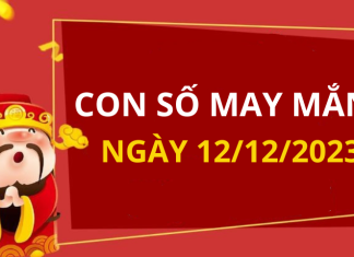 Con số may mắn hôm nay 12/12/2023 theo tuổi cực kỳ lộc lá