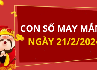 Con số may mắn hôm nay 21/2/2024 theo tuổi: Nhanh tay chọn ngay SỐ MAY hợp tuổi