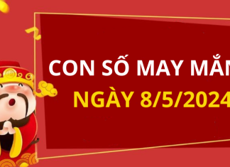 Con số may mắn hôm nay 8/5/2024 theo tuổi: Số đem lại CÁT lành cho gia chủ