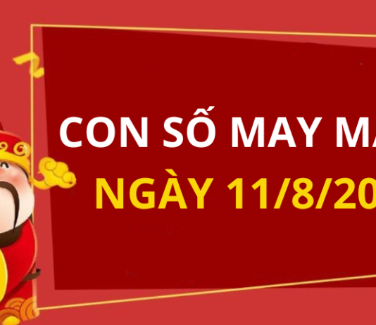 Con số may mắn hôm nay 11/8/2024 theo tuổi của bạn: Chọn đúng số phát tài