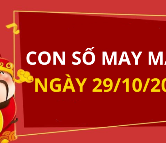 Con số may mắn hôm nay 29/10/2024 theo tuổi: Số đắc lộc cho tuổi của bạn