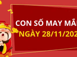 Con số may mắn hôm nay 28/11/2024 theo tuổi: Số vượng tài cho tuổi bạn