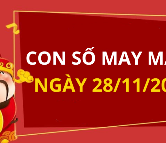Con số may mắn hôm nay 28/11/2024 theo tuổi: Số vượng tài cho tuổi bạn