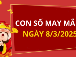 Con số may mắn hôm nay 8/3/2025 theo năm sinh: Số may giúp bạn vượng tài