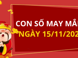Con số may mắn hôm nay 15/11/2025 theo tuổi: Xem số phát lộc