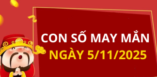 Con số may mắn hôm nay 5/11/2025 theo tuổi: Số giúp bạn đón lộc lớn