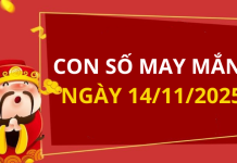 Con số may mắn hôm nay 14/11/2025 theo tuổi: Chọn số đón lộc