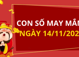 Con số may mắn hôm nay 14/11/2025 theo tuổi: Chọn số đón lộc