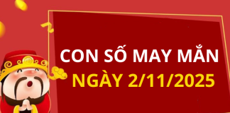 Con số may mắn hôm nay 2/11/2025 theo tuổi: Xem số phát lộc