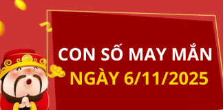 Con số may mắn hôm nay 6/11/2025 theo tuổi: Số vàng hợp tuổi bạn