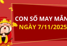 Con số may mắn hôm nay 7/11/2025 theo 12 con giáp: Số giúp bạn đón lộc lớn