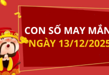 Con số may mắn hôm nay 13/12/2025 theo tuổi: Số may mắn giúp bạn đón lộc