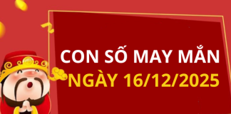 Con số may mắn hôm nay 16/12/2025 theo tuổi: Số cát giúp bạn đổi vận