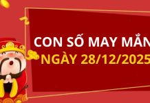 Con số may mắn hôm nay 28/12/2025 theo tuổi: Số may mắn giúp bạn đón lộc