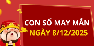 Con số may mắn hôm nay 8/12/2025 theo tuổi: Chọn đúng số phát tài