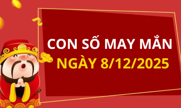 Con số may mắn hôm nay 8/12/2025 theo tuổi: Chọn đúng số phát tài