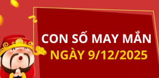 Con số may mắn hôm nay 9/12/2025 theo tuổi: Xem số phát lộc