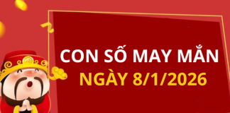 Con số may mắn hôm nay 8/1/2026 theo từng tuổi: Dãy số đại cát, đại lợi