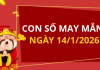 Con số may mắn hôm nay 14/1/2026 theo từng tuổi: Xem số vàng hợp tuổi bạn
