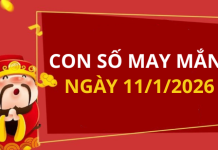 Con số may mắn hôm nay 11/1/2026 theo từng tuổi: Số đắc lộc cho tuổi của bạn