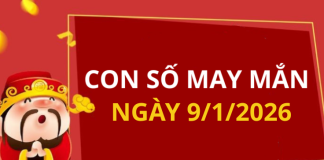Con số may mắn hôm nay 9/1/2026 theo từng tuổi: Chọn số đón lộc