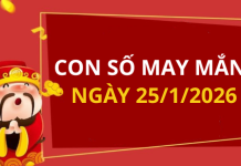 Con số may mắn hôm nay 25/1/2026 theo từng tuổi: Số may giúp bạn vượng tài