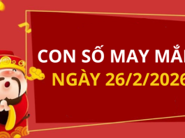 Con số may mắn hôm nay 26/2/2026 theo từng tuổi: Số may đón lộc