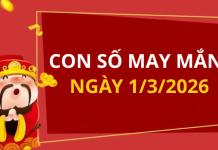 Con số may mắn hôm nay 1/3/2026 theo từng tuổi: Số đẹp giúp bạn đổi vận