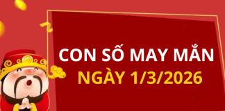 Con số may mắn hôm nay 1/3/2026 theo từng tuổi: Số đẹp giúp bạn đổi vận
