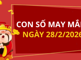 Con số may mắn hôm nay 28/2/2026 theo từng tuổi: Chọn đúng số phát tài