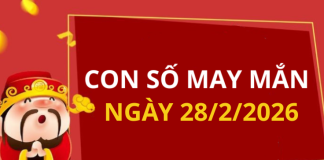 Con số may mắn hôm nay 28/2/2026 theo từng tuổi: Chọn đúng số phát tài