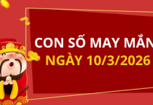 Con số may mắn hôm nay 10/3/2026 theo từng tuổi: Số may giúp bạn vượng tài