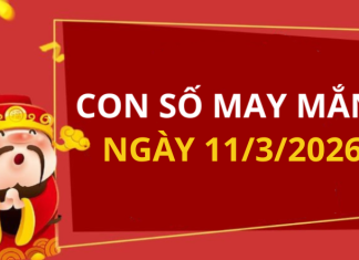 Con số may mắn hôm nay 11/3/2026 theo từng tuổi: Xem số phát lộc