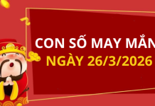 Con số may mắn hôm nay 26/3/2026 theo từng tuổi: Chọn số cát giúp bạn lấy may