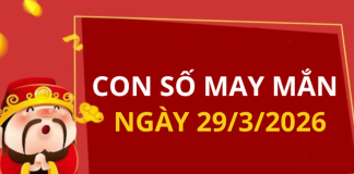 Con số may mắn hôm nay 29/3/2026 theo từng tuổi: Số thu hút tài lộc