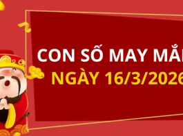 Con số may mắn hôm nay 16/3/2026 theo từng tuổi: Số đại cát giúp bạn đổi đời