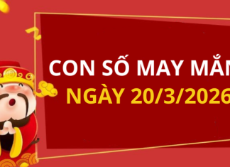Con số may mắn hôm nay 20/3/2026 theo từng tuổi: Số giúp bạn đón lộc lớn