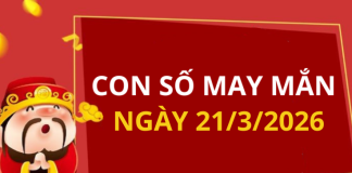 Con số may mắn hôm nay 21/3/2026 theo từng tuổi: Chọn đúng số phát tài