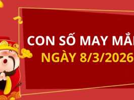 Con số may mắn hôm nay 8/3/2026 theo từng tuổi: Số giúp bạn đón lộc lớn
