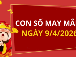 Con số may mắn hôm nay 9/4/2026 theo từng tuổi: Số vượng cho tuổi của bạn