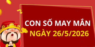 Con số may mắn hôm nay 26/5/2026 theo từng tuổi: Xem số tốt giúp bạn dễ đón lộc