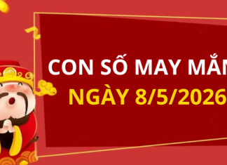 Con số may mắn hôm nay 8/5/2026 theo từng tuổi: Chọn đúng số phát tài