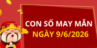 Con số may mắn hôm nay 9/6/2026 theo từng tuổi: Xem số vàng hợp tuổi bạn