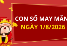 Con số may mắn hôm nay 1/8/2026 theo từng tuổi: Số cát giúp bạn phát tài nhanh