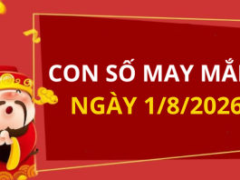 Con số may mắn hôm nay 1/8/2026 theo từng tuổi: Số cát giúp bạn phát tài nhanh