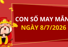 Con số may mắn hôm nay 8/7/2026 theo từng tuổi: Số giúp bạn đón lộc lớn