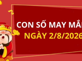 Con số may mắn hôm nay 2/8/2026 theo từng tuổi: Xem số hay có lộc ngay
