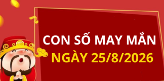 Con số may mắn hôm nay 25/8/2026 theo từng tuổi: Số cát giúp bạn cải vận