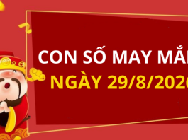 Con số may mắn hôm nay 29/8/2026 theo từng tuổi: Xem số cát giúp bạn đổi vận