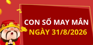 Con số may mắn hôm nay 31/8/2026 theo từng tuổi: Số giàu mới nhất trong ngày